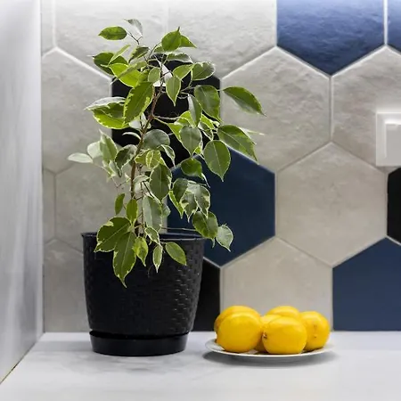 아파트 Bright, Cozy Close To The Airport By Renters